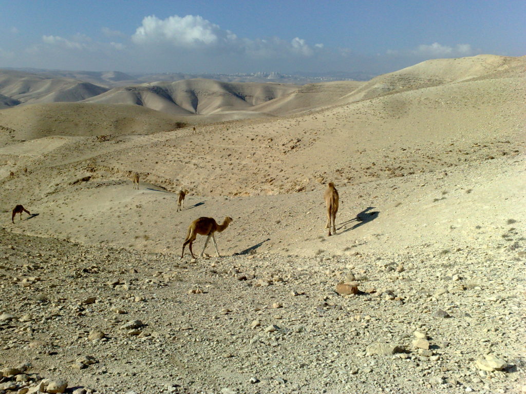 Záber z Júdskej púšte, kam zvyčajne chodieva Dominik medzi sviatkami na výlet.